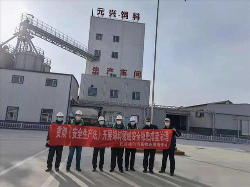 筑牢安全防線，保障市場供應——市畜牧業服務中心開展春節前飼料生產企業安全生產與銷售專項檢查